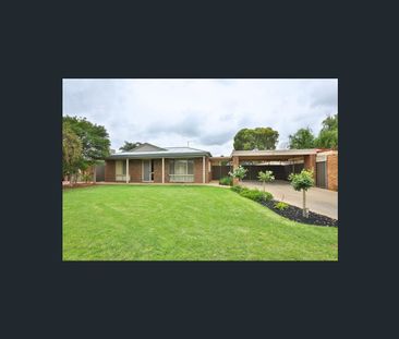 20 Jeffreys Lane, Red Cliffs, Vic 3496 - Photo 3