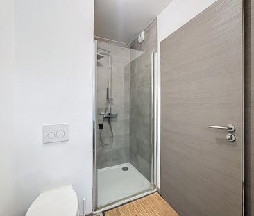 Location Appartement 1 pièce Meublé 29m² AJACCIO 20167 - Photo 5