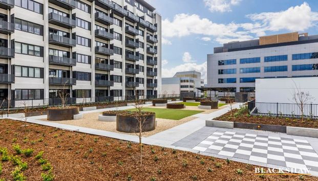 409/35 Furzer Street, Phillip ACT 2606 - Apartment For Rent | Domain - Photo 1