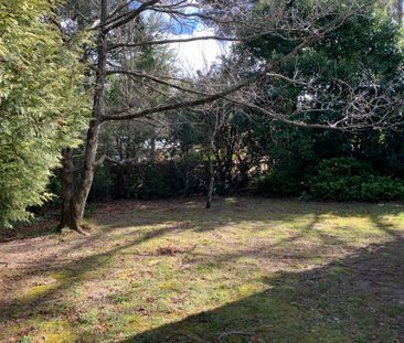 1950's Cottage on double block, walk to town - Photo 5