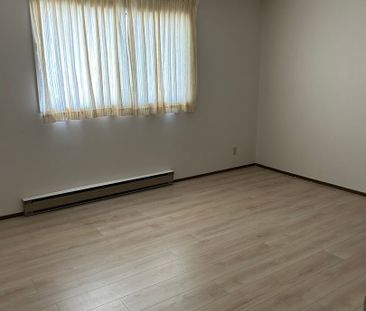 1 Bedroom Apartment in Caswell Hill - Photo 3