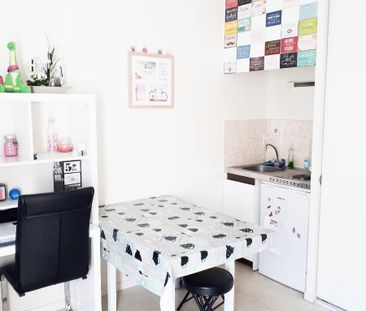 Location Appartement 1 pièce 19m² ANGERS 49000 - Photo 3