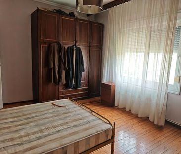 Μονοκατοικία για ενοικίαση Αμυγδαλεώνας (Φίλιπποι) - Φωτογραφία 1