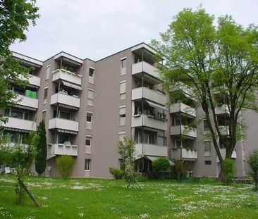 Beautiful apartment in Zurich Seebach - Photo 1