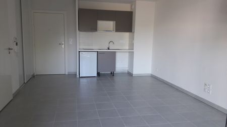 Location Appartement 2 pièces 40m² LAUNAGUET 31140 - Photo 4