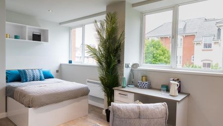 Studio to rent - Photo 3