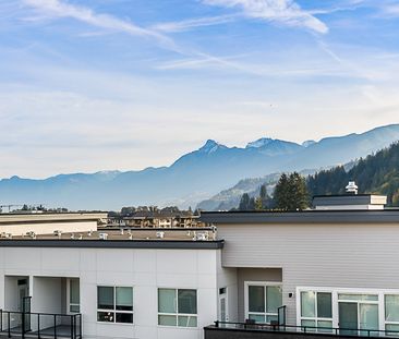 YORK 3 - 509C - YR509C - Photo 5