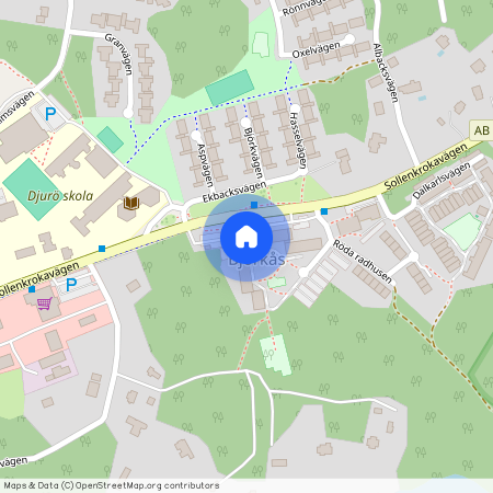 Björkåsvägen 12A, Djurö