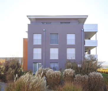 Appartement de 2.5 pièces avec terrasse à Payerne! - Photo 2