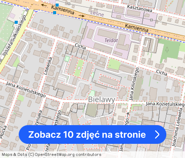 Dwa pokoje. Bez pośrednika. Centrum, Bielawy. 41 m2 - Zdjęcie 1