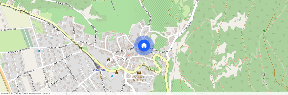 1867, Ollon VD, Chemin du Raisin, 2