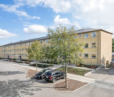 Afd. 24 Ungskuepladsen - Photo 2