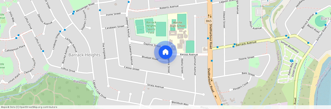 11A Daphne Street, NSW 2528, Barrack Heights