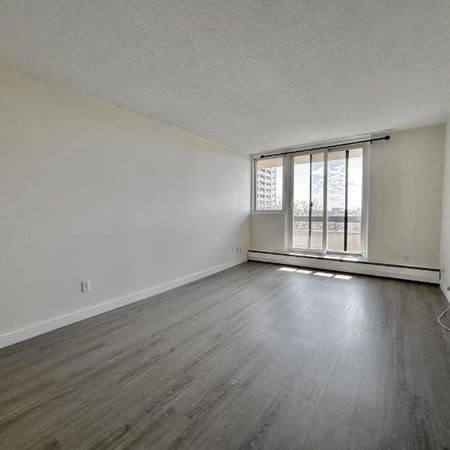 Appartement 3 ½ à louer Montcalm / Saint-Sacrement août 2026 - Photo 3