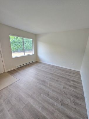 Brand New Unit in Chilliwack - Photo 1