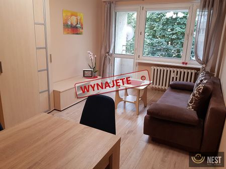 Dwupokojowe mieszkanie do wynajęcia ! - Photo 2