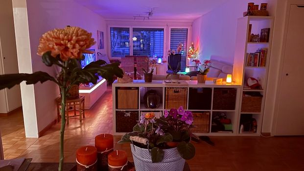 3.5 Zi-Wohnung an Einzelperson in Effretikon (ZH), möbliert, auf Zeit - Photo 1