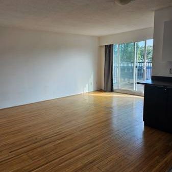 Sunny 1 bed penthouse - Photo 1