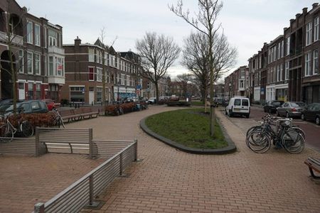 Anton de Haenstraat - Foto 4