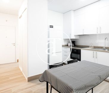 Monthly rental Studio with 1 bedroom, 1 bathroom in Latina - Photo 2