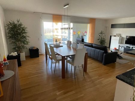 4.5-Zimmer-Wohnung zu vermieten in Uster - Photo 4