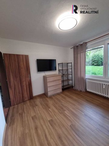 Pronájem bytu 2+1 43 m² - Fotografie 4