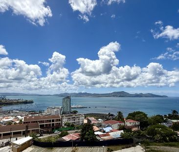 Location Appartement 4 pièces 100m² FORT DE FRANCE 97200 - Photo 5