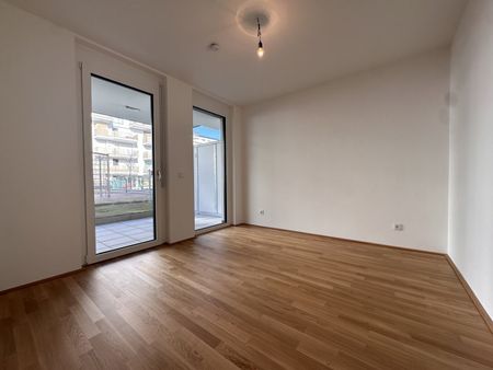 NEUBAU | ERSTBEZUG - Photo 3