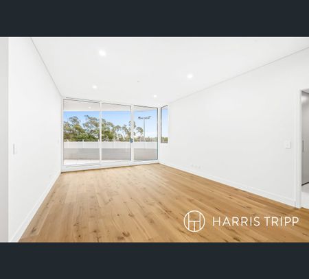 C308/165 Milton Street, Ashbury, NSW 2193 - Photo 3