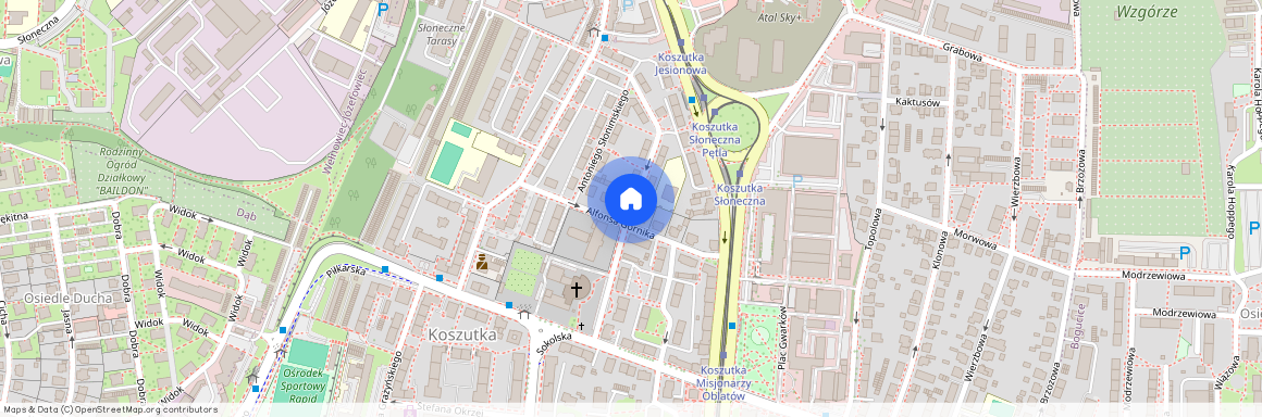 ul. ks. kard. Stefana Wyszyńskiego, Koszutka, Katowice, śląskie