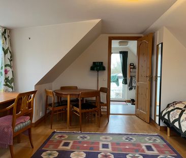 SLUTA LETA! - Foto 1