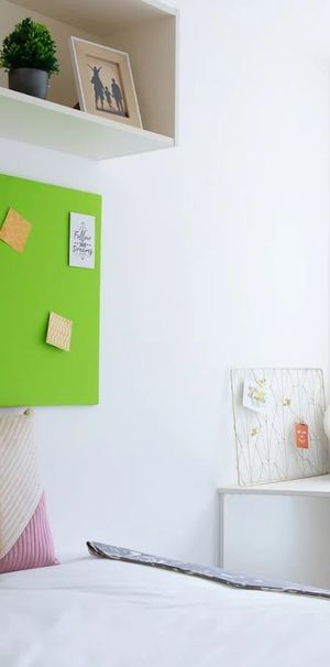 Room in a Shared Flat, Hollingdean Road, BN2 - Photo 1