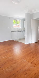 Freshly Painted & Brand New Kitchen - Photo 4