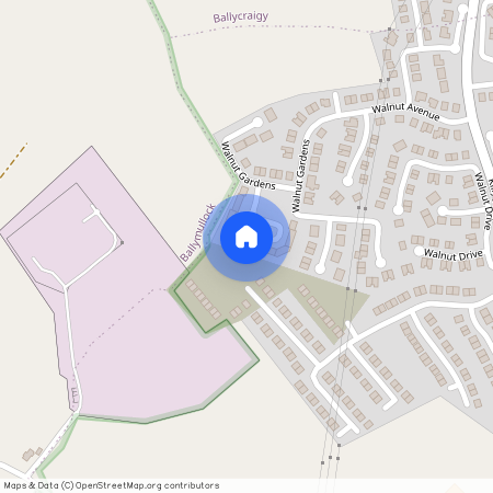 Walnut Green, Larne, BT40 2WP