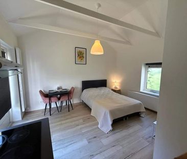 Studio meublé Rabenhauptstraat, Groningen - À louer - Foto 2