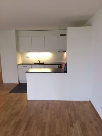 Grosszügige 3.5-Zimmerwohnung in Oensingen - Photo 4
