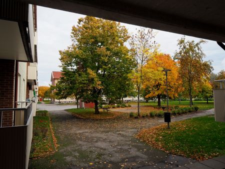 Vallavägen 12 - Photo 4