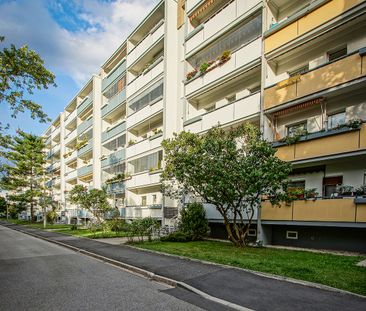 2-Zimmer Mietwohnung - Seidnitz/Dobritz - Photo 3