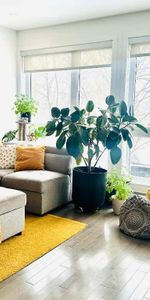 Condo 4 1/2 - Photo 3