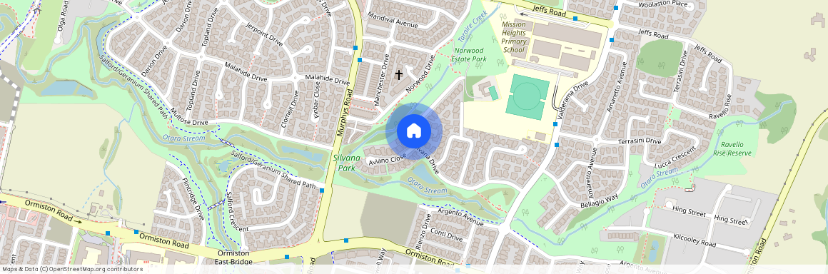 37 Silvana Drive, Flat Bush, Manukau City