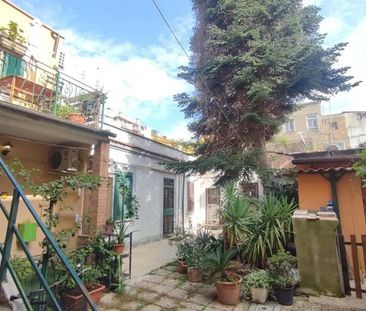 Via Giovanni Brancaleone, Rome, Lazio 00176 - Photo 6
