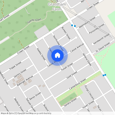 33 Sheila Street, Grantham Farm NSW 2765