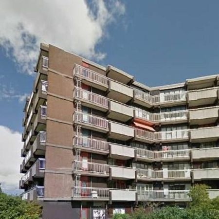 Victor van Vrieslandstraat, 2025 LS Haarlem, Nederland - Foto 3