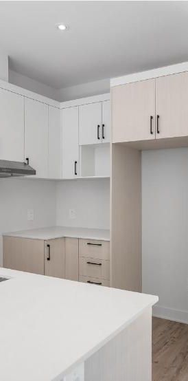 Nouveau 4½ à louer — à deux pas du R.E.M.Deux-Montagnes! - Photo 1