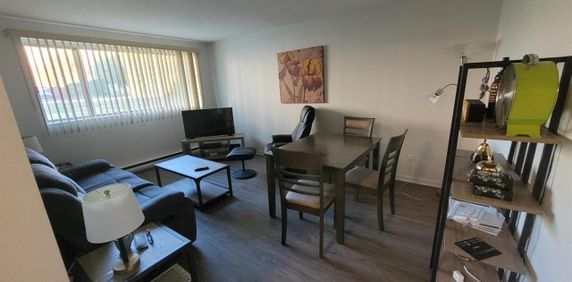 1845 Saint Louis (Gatineau) Super Appartement 3 1/2, Dans Un Quartier Résidentiel Très Tranquille. - Photo 2