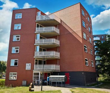 Chambre Opaallaan 386, Hoofddorp - À louer - Foto 3