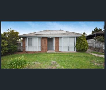 Conveniently Located - Photo 6