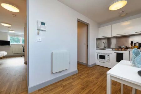 Standard Two Dio - Photo 5