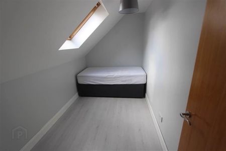 12 Annadale Mews, Off Annadale Embankment, Belfast, BT7 3LR - Photo 4