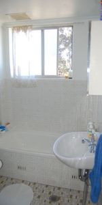 Sunlit 3 Bedroom Unit - Extra Large Unit! - Photo 4